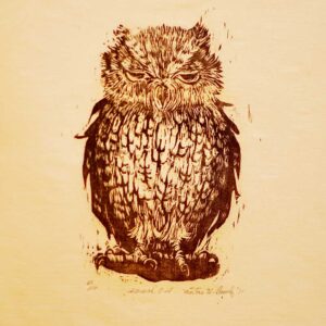 Screech Owl - Martha Cawley