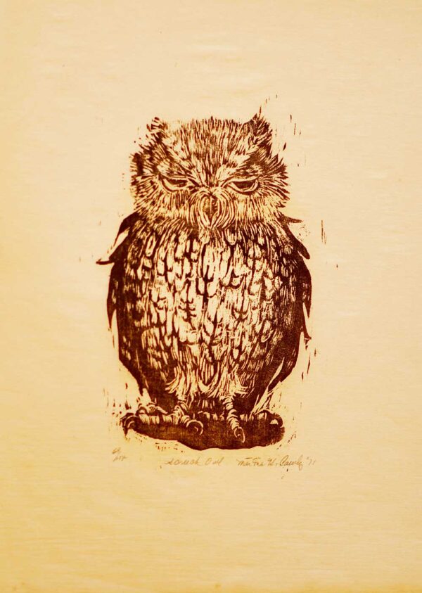 Screech Owl - Martha Cawley