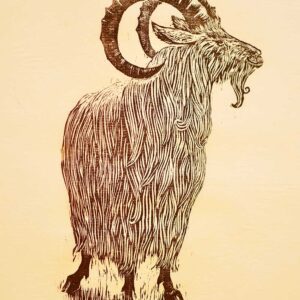 Billy Goat - Martha Cawley