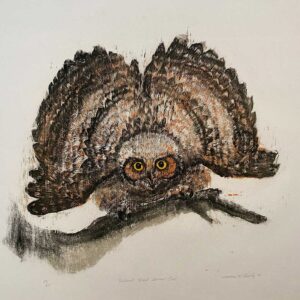 Defiant Great Horned Owl - Martha Cawley