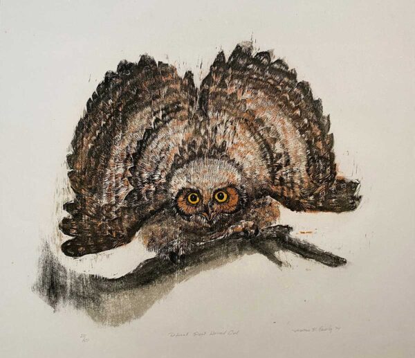 Defiant Great Horned Owl - Martha Cawley