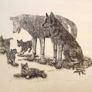 Eastern Timber Wolves - Martha Cawley