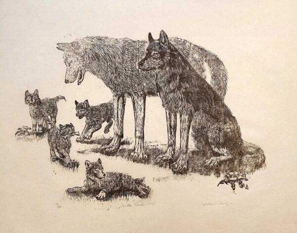 Eastern Timber Wolves - Martha Cawley