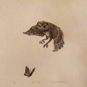 Elf Owl - Martha Cawley