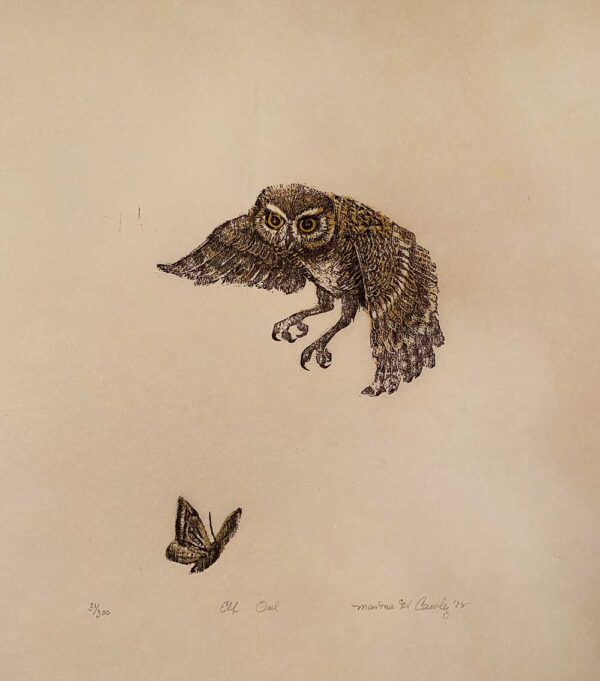 Elf Owl - Martha Cawley