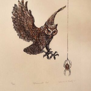 Flammulated Owl - Martha Cawley