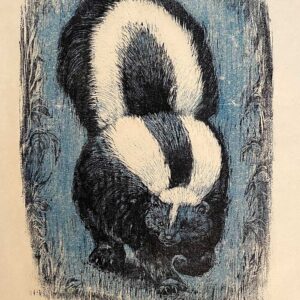 Night Skunk - Martha Cawley