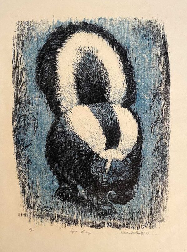 Night Skunk - Martha Cawley