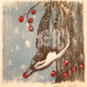 Nuthatch - Martha Cawley