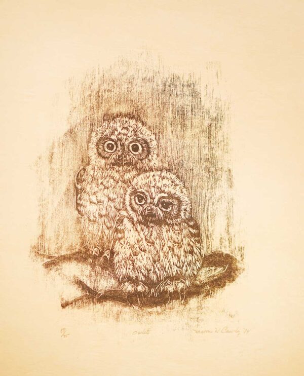 Owlets - Martha Cawley