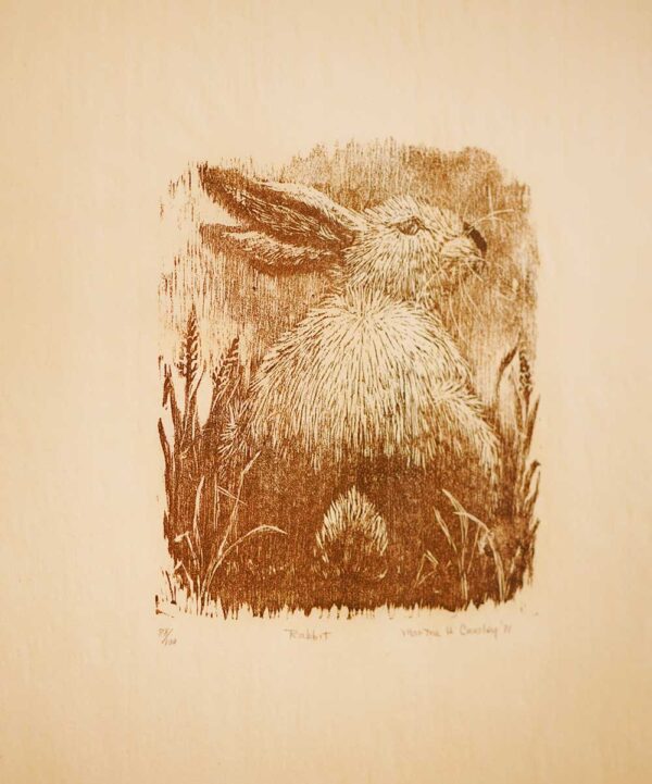 Rabbit - Martha Cawley