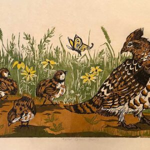 Ruffed Grouse Family - Martha Cawley