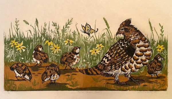 Ruffed Grouse Family - Martha Cawley