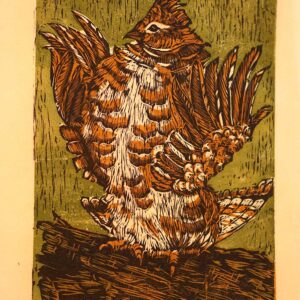 Ruffed Grouse - Martha Cawley