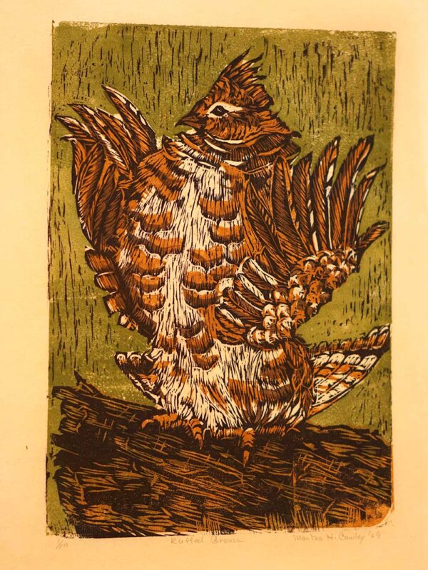 Ruffed Grouse - Martha Cawley