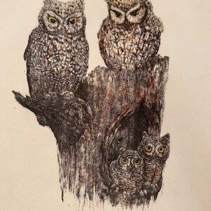 Screech Owls - Martha Cawley