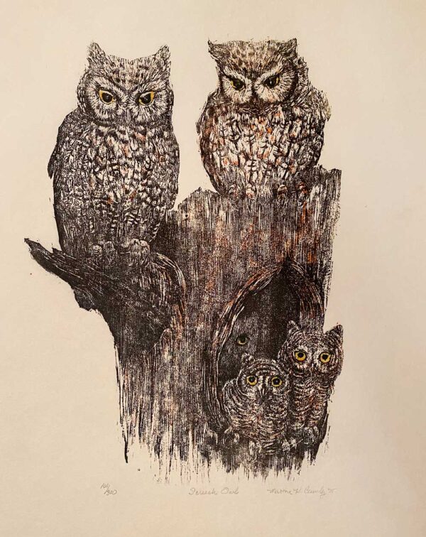 Screech Owls - Martha Cawley