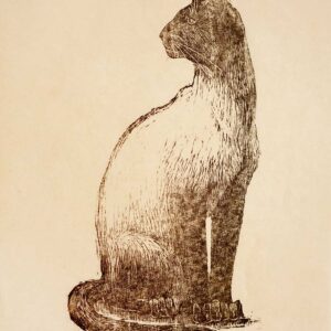 Siamese Cat - Martha Cawley