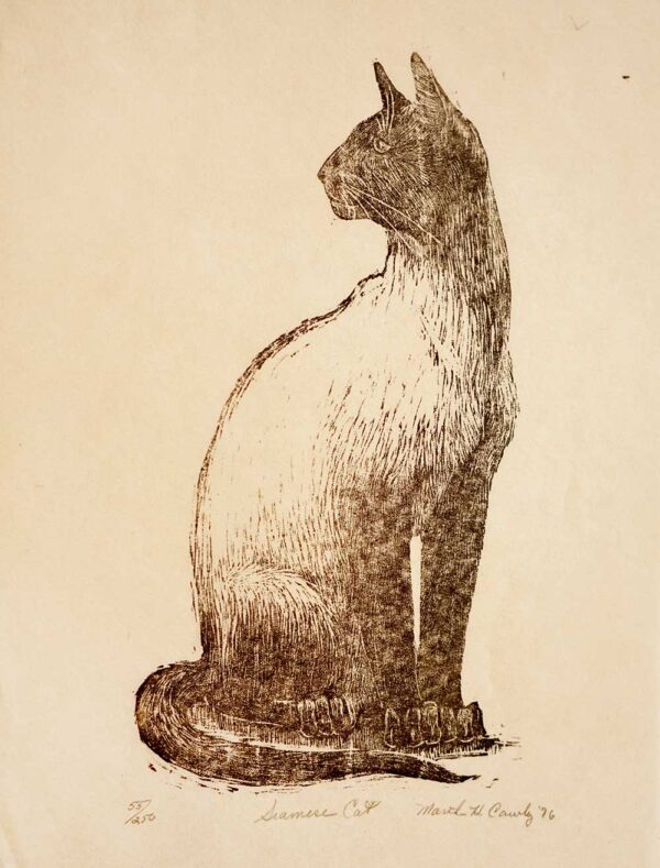 Siamese Cat - Martha Cawley