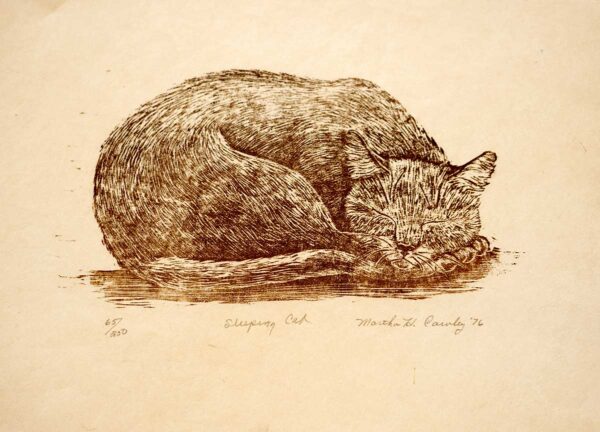 Sleeping Cat - Martha Cawley