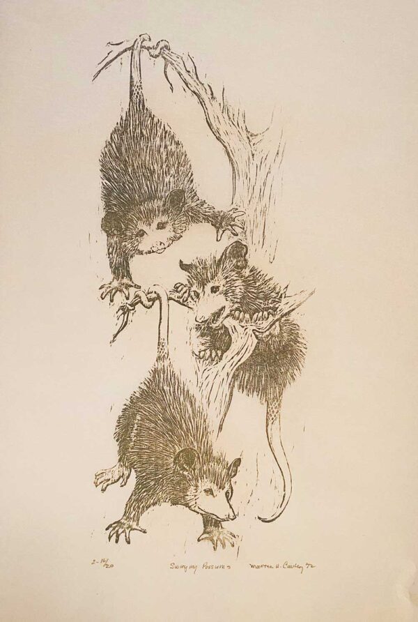 Swinging Possums - Martha Cawley