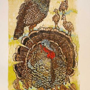 Turkeys - Martha Cawley