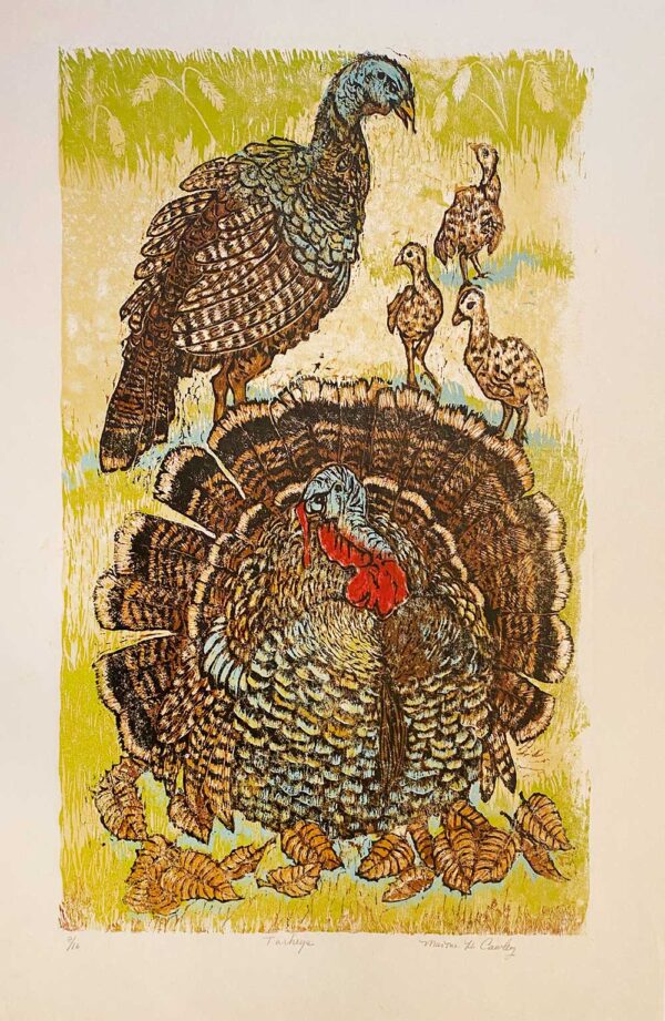 Turkeys - Martha Cawley