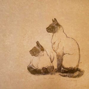 Two Siamese - Martha Cawley