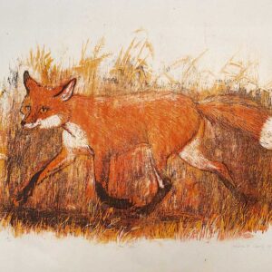 Vixen - Martha Cawley