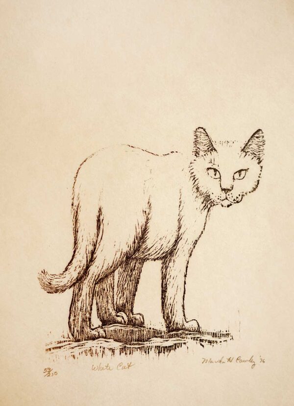 White Cat - Martha Cawley