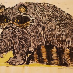 Raccoon- Martha Cawley